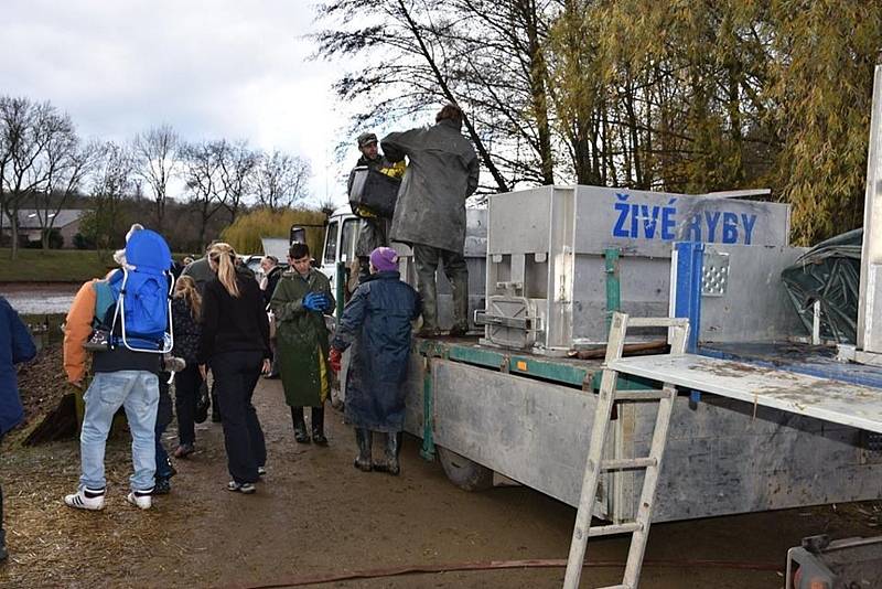 Výlov Na Rybníčkách v Královicích.