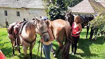 Na Velkou koňskou třídenní výpravu se vydala letos poprvé pětice kamarádek z Kladna a Chyňavy.