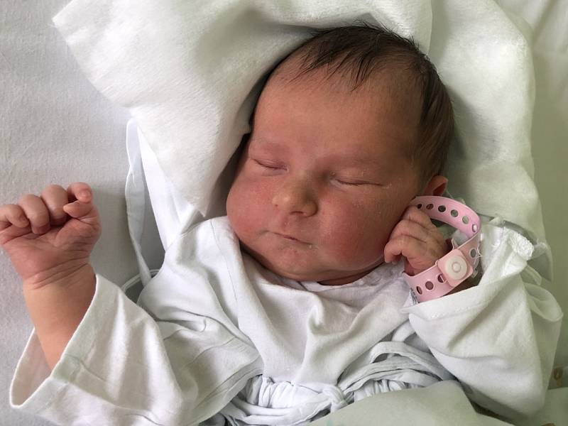 ROZÁLIE FORMÁNKOVÁ, KLADNO. Narodila se 29. dubna 2019. Po porodu vážila 2,63 kg a měřila 47 cm. Rodiče jsou Martina Tůmová a Martin Formánek. (nemocnice Kladno)