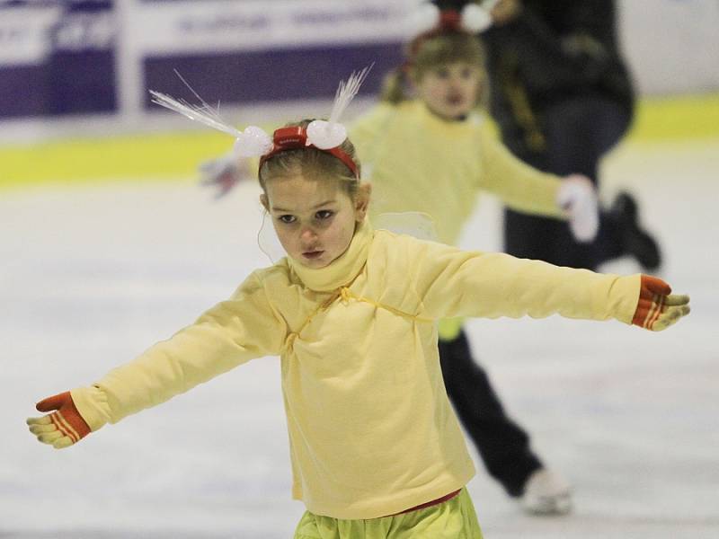 V peřině. Lední revue na podpořila Nadaci na transplantace kostní dřeně. Kladno, 15. 12. 2012