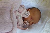 Anna Wertheimová se narodila 18. prosince 2020 v kolínské porodnici, vážila 3550 g a měřila 52 cm. V Sadské se z ní těší bráškové Roman (8), Antonín (7) a rodiče Anna a Roman.