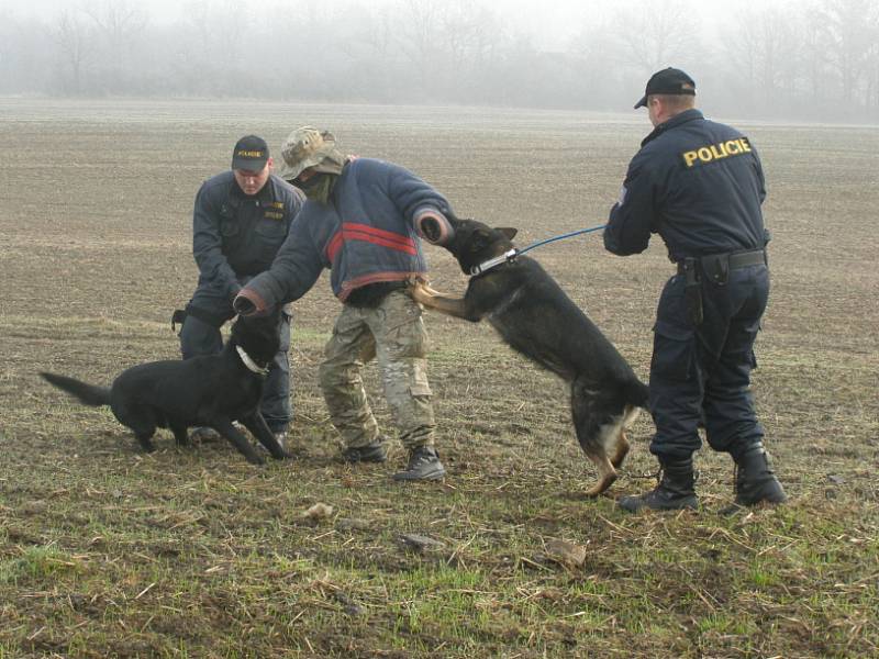 Policisté se v pátek dopoledne vydali na kontrolu chatových oblastí na Unhošťsku.