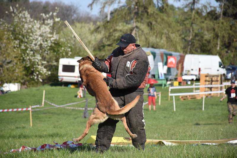 Saharské ringo se konalo v Podlešíně již popáté.