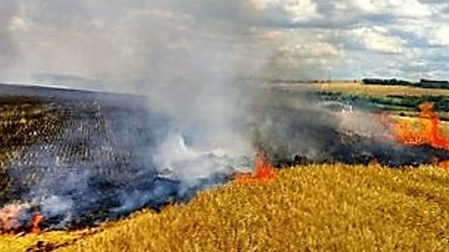 Pondělní požár pole s ječmenem u Hořešovic