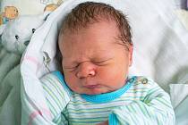 VILÉM KUČERA, KRALUPY NAD VLTAVOU. Narodil se 27. září 2019. Po porodu vážil 4 kg a měřil 53 cm. Rodiče jsou Nikola Kučerová a Vladislav Kučera. (porodnice Slaný)