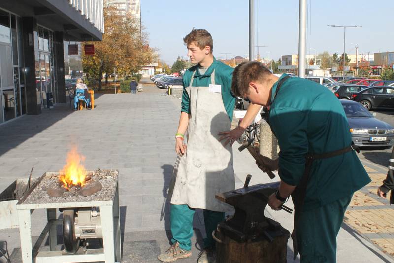 Veletrh celoživotního vzdělávání se koná v Kladně ve dvou dnech od 17. do 18. října.