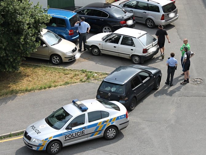 MAJITELÉ prakem postřílených aut sčítají s policisty na sídlišti ve Vikově ulici ve Slaném škody. 