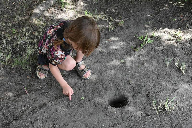 Děti si zkusily cvrnkání kuliček, čáru, hraní s céčky, přebíračku i skákání přes gumu.