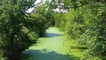 Vranský potok je aktuálně brčálově zelený.