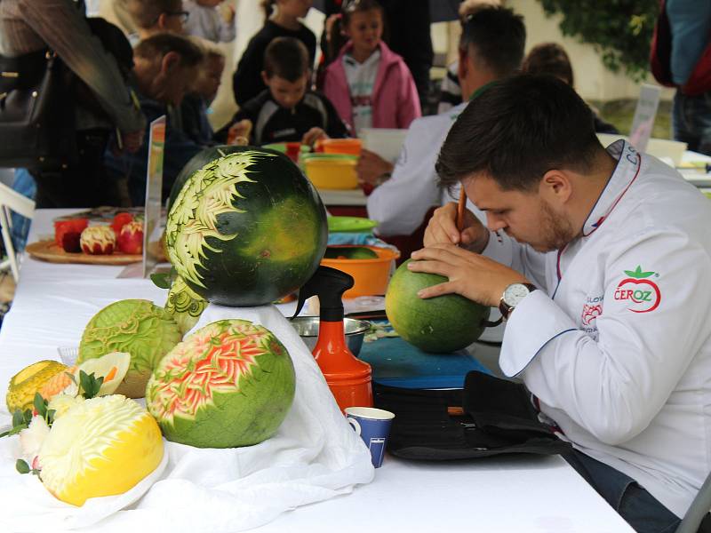 Z letního festivalu všeho dobrého 2019.