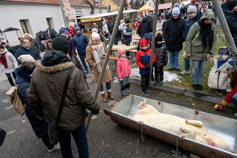 Tradiční masopust a zabijačka v Máslovicích.