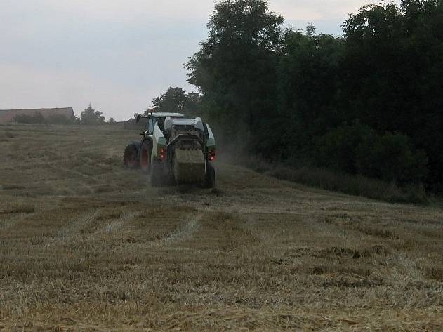 Žně na Kladensku. Na snímcích sklizeň obilí na poli u Hořešovic a u Šlapanic. Stroje jedou naplno a někdy stačí jen malá jiskra a shoří celý lán.