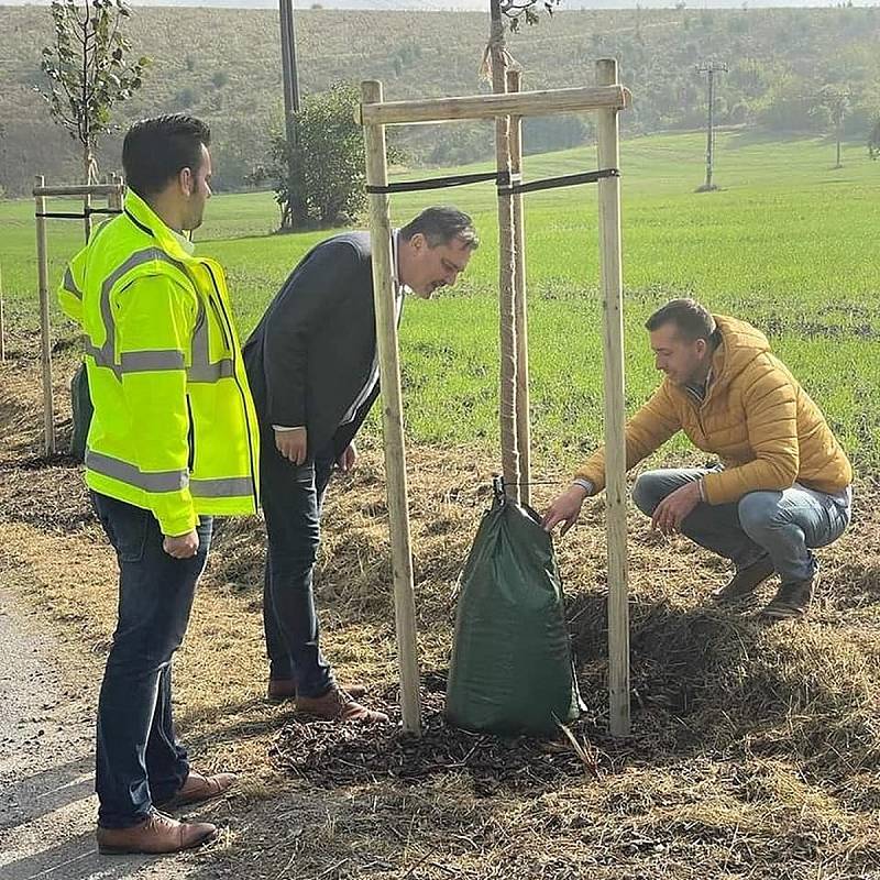 Cestu k Božího hrobu lemuje nová lipová alej.