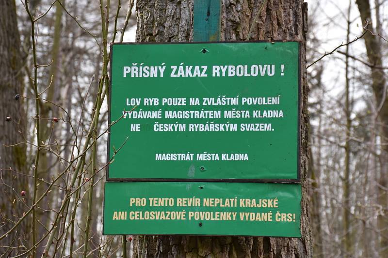 Kladenský rybník Bažantnice je plný ryb a pokračuje i úprava okolí.