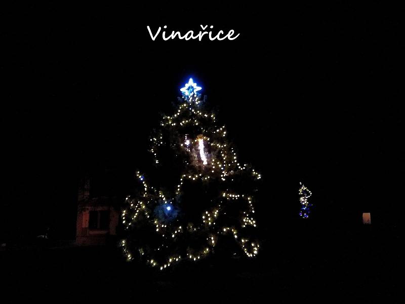 Vánoční strom v obci Vinařice.