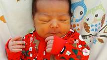Klaudie Gunárová se narodila 26. ledna 2021 v 15. 48 hodin v Čáslavi. Vážila 3470 gramů a měřila 49 centimetrů. Doma v Kutné Hoře ji přivítali maminka Jitka, tatínek David a tříletá sestřička Tamara Marika.