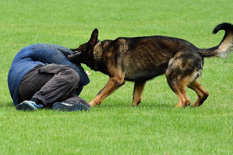 Přes bariéry s policií.