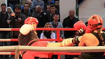 Real Fight Night. Galavečer boxu a kickboxu proběhl v zajímavém prostředí zahrady u kladenského zámku 15. 9. 2012