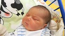 BRYAN BARTOLOMĚJ GIRGA, SLANÝ. Narodil se 9. prosince  2017. Po porodu vážil 4,12 kg a měřil 54 cm. Rodiče jsou Adriana Girgová a Dominik Dubský. (porodnice Slaný)