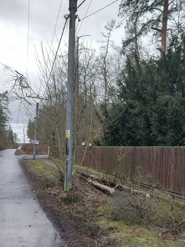 Strom spadlý v Unhošti.