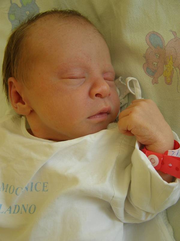 Karolína Marčaníková, Kladno. Narodila se 19. srpna 2012, váha 2,720 kg, míra 46 cm. Rodiče jsou Romana Suková a David Marčaník. (porodnice Kladno)