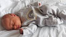 Viktorie Havlíková se narodila v příbramské porodnici 1. února 2021 v 10:14. Po narození vážila 2710 g a měřila 47 cm. S maminkou Janou Kernerovou a tatínkem Milanem Havlíkem bude bydlet v Příbrami.