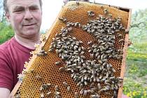 Včely vymírají, ale včelaři bohužel také.