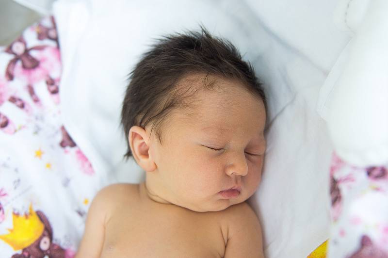 Natally Jiříková z Kutné Hory se narodila v nymburské porodnici 2. února 2021 v 8.28 hodin s váhou 2820 g a mírou 44 cm. Domů pojede s maminkou Terezou a sestřičkou Nellou (5 let).