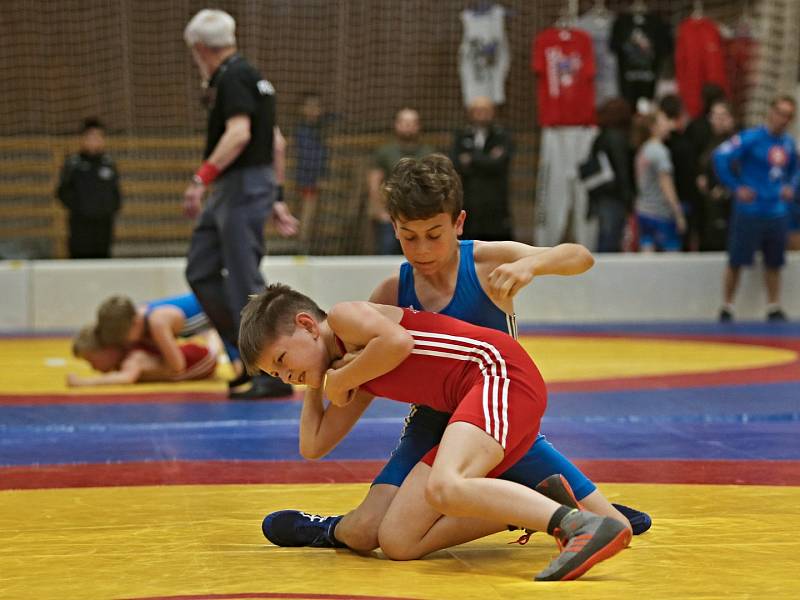 Sokolský pohár 2019 / 36. ročník turnaje mládeže v zápase řecko–římském a ve volném stylu / Kladno 17. - 19. 5. 2019