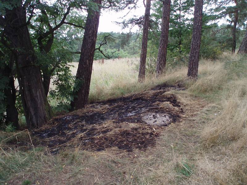 Požár lesního porostu ve Slaném - Kvíci.