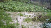 Zahrádkářská kolonie ve Slaném-Kvíci je po dešti pod vodou
