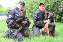 PSOVODKY POLICIE JITKA JOZOVÁ (vlevo) s desetiměsíčním německým ovčákem Harrym a Vera Mravcová s pětiměsíčním belgickým ovčákem Atreyem. 