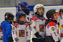 Týden hokeje má Kladno za sebou, přišlo 65 nových dětí! Ty vedli i zkušení trenéři, bývalí extraligoví borci, i krasobruslařky.