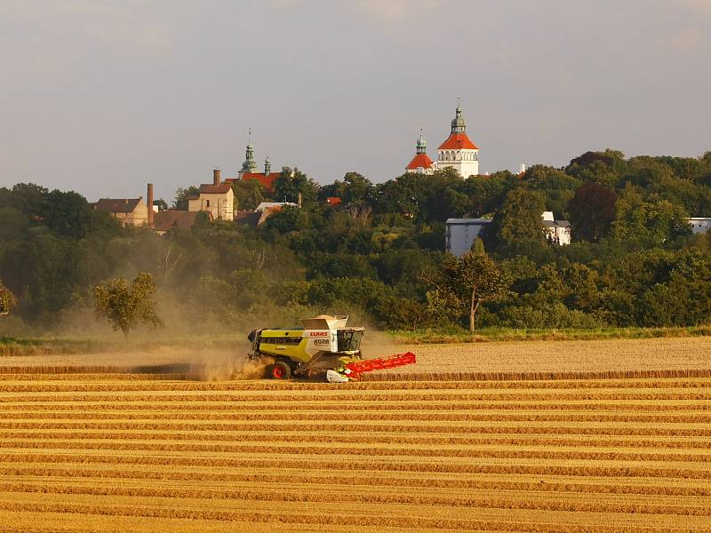 Žně na Kladensku jsou v plném proudu.