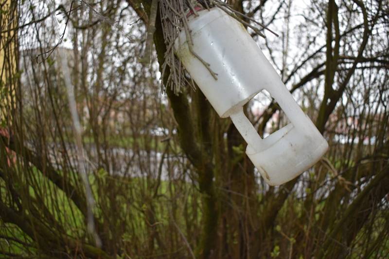 Ptačí krmítka jsou už spíše osiřelá, zato v budkách je živo.