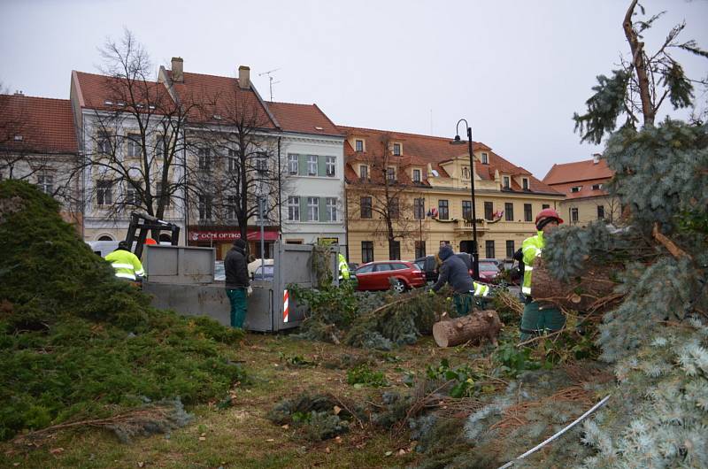 Pád vánočního stromu ve Slaném.