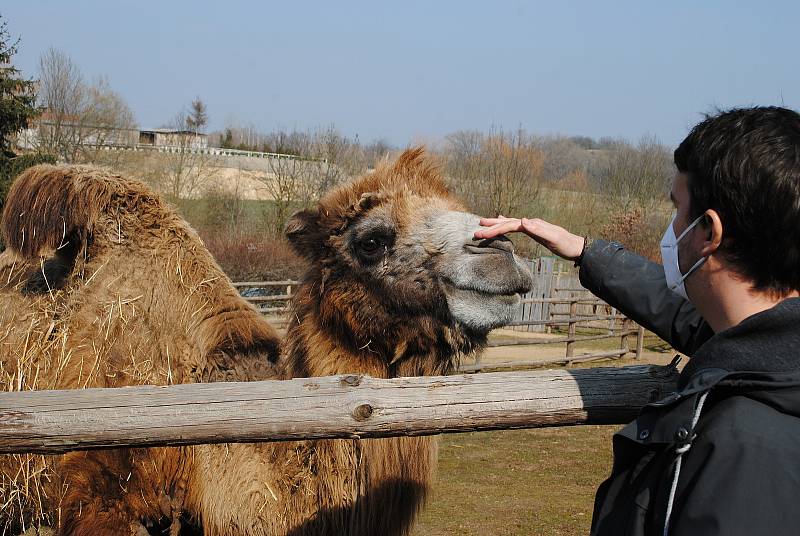 Zoopark Zájezd na Kladensku.