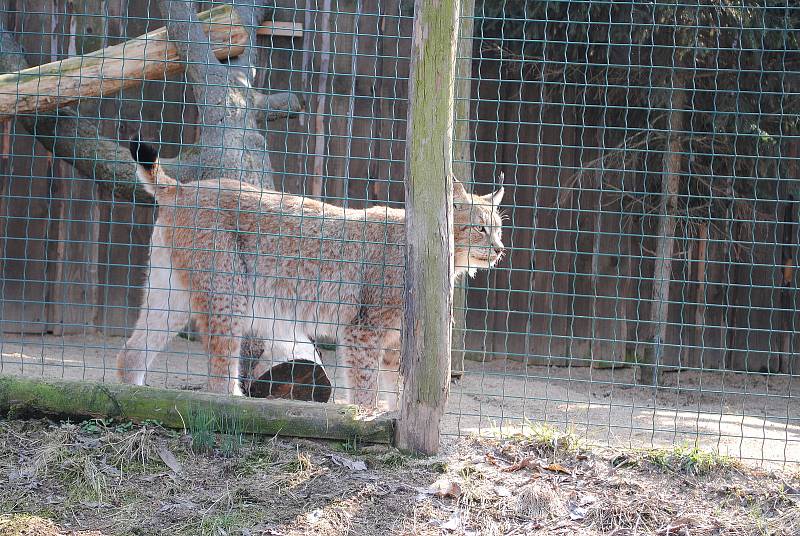 Zoopark Zájezd na Kladensku.