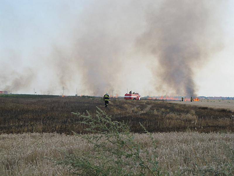 Požár u Kačice zničil pět a půl hektaru sladovnického ječmene.