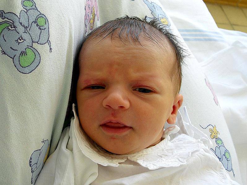 Adéla Šímová, Žilina, 25.4.2010, váha 3,24 kg, míra 49 cm, rodiče jsou Helena Gregorová a David Šíma (porodnice Kladno)