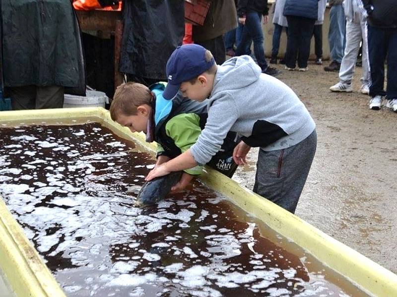 Tradiční výlov luníkovského rybníka U Jelena přilákal opět stovky lidí.