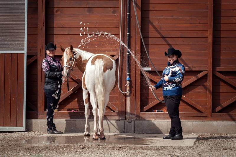 Lenka Rollová s kamarádkami Drahomírou Košvancovou, Janou Novotnou, Terezou Dryákovou a manažerkou Královického dvora Lenkou Holou připravily právě do Královic westernovou show koní plemene Appaloosa a American Paint Horse.