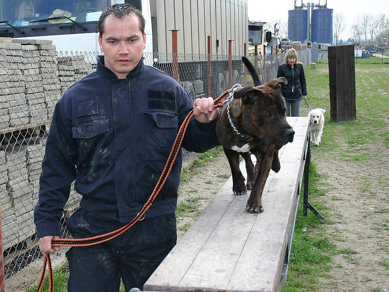 Na psím cvičišti ve Velké Dobré s výcvikářkou Jiřinou Forejtovou