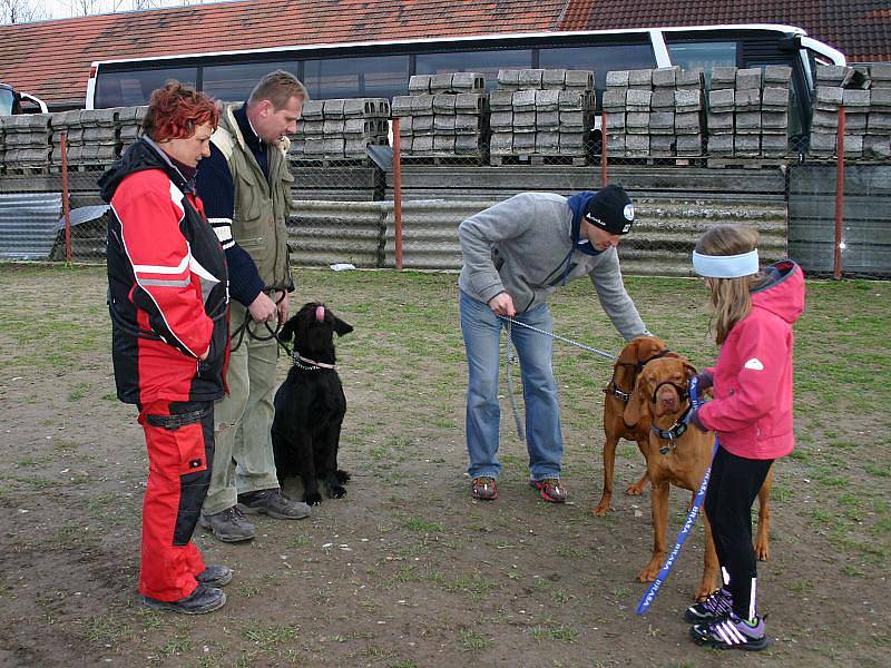 Na psím cvičišti ve Velké Dobré s výcvikářkou Jiřinou Forejtovou