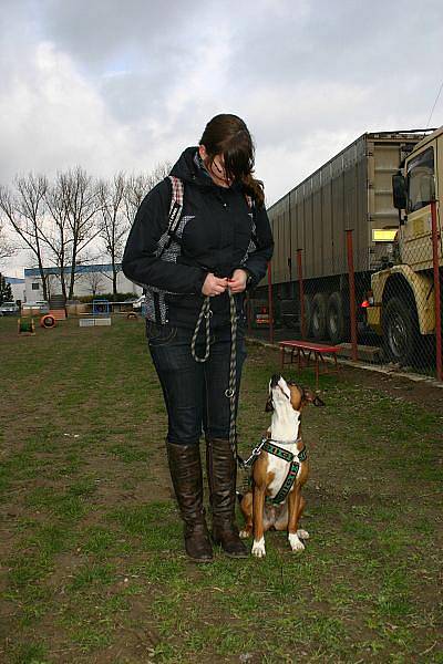 Na psím cvičišti ve Velké Dobré s výcvikářkou Jiřinou Forejtovou