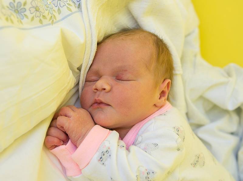Rozálie Ježková se narodila v nymburské porodnici 31. ledna 2021 v 5.11 hodin s váhou 3610 g a mírou 49 cm. S maminkou Martinou, tatínkem Michalem a bráškou Tobiášem (6 let) bude holčička bydlet v Poděbradech.