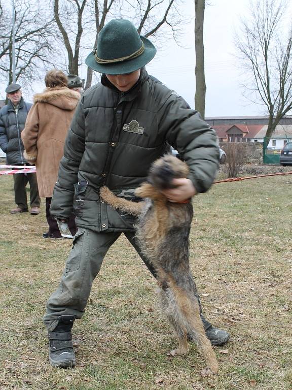 Okresní myslivecká výstava v Žilině 2013 spojená s jarním svodem psů