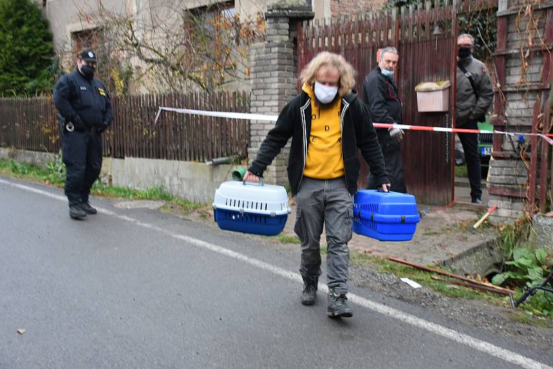 Opuštěná zvířata na místě tragédie v Líském a starosta Štěpán Hon.