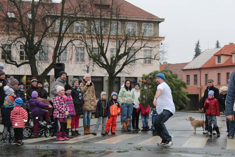 Nedělní soutěž v hodu stromkem sledovaly na novostrašeckém náměstí desítky lidí.