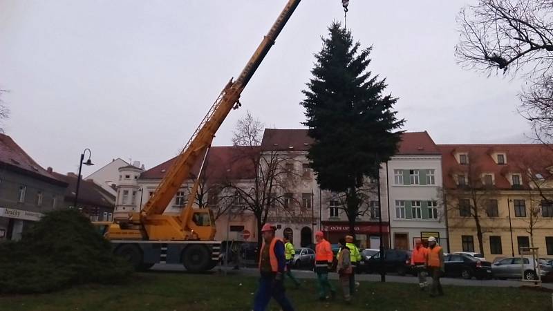 Vánoční strom se tyčí už i na Masarykově náměstí ve Slaném.